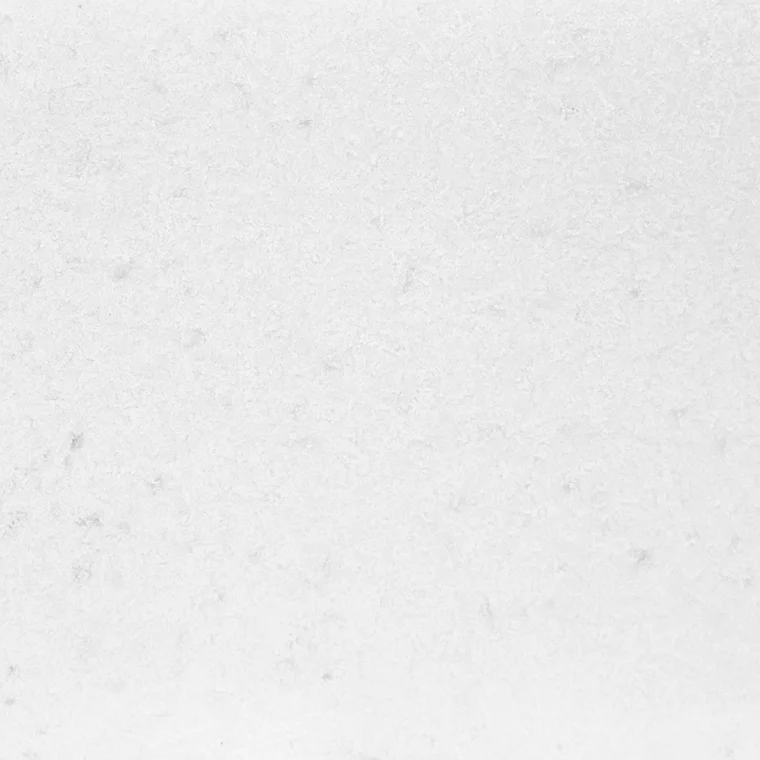 Arctic