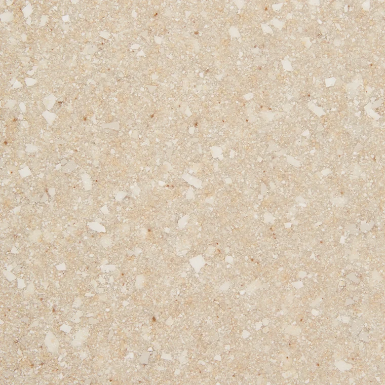 Seashell