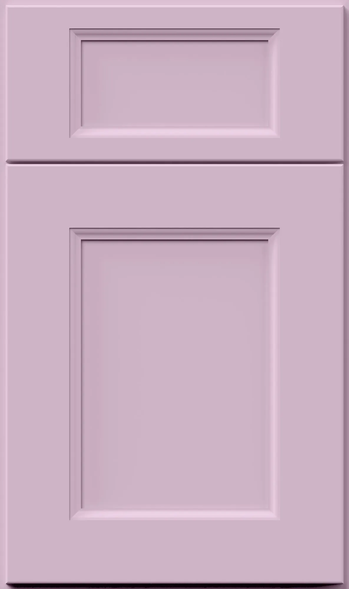 Orchid Purple