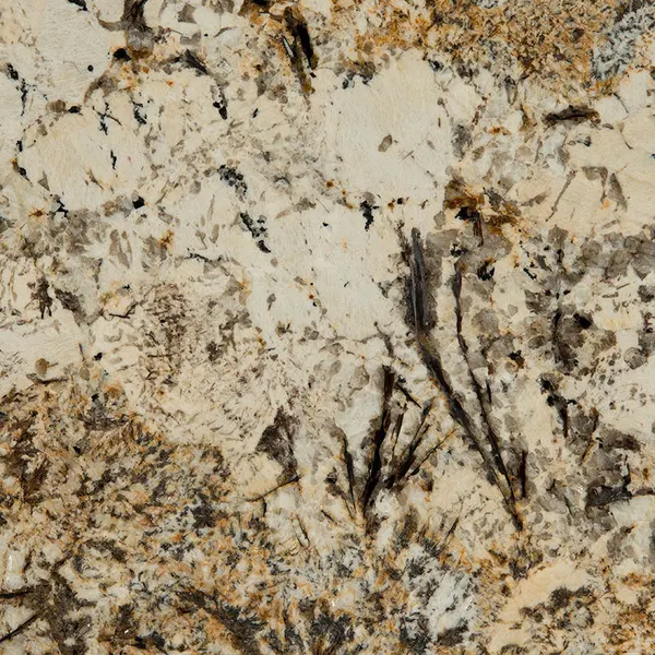 Caravelas Gold granite slab