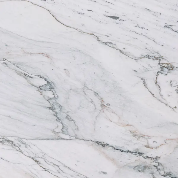Florida Wave quartzite slab